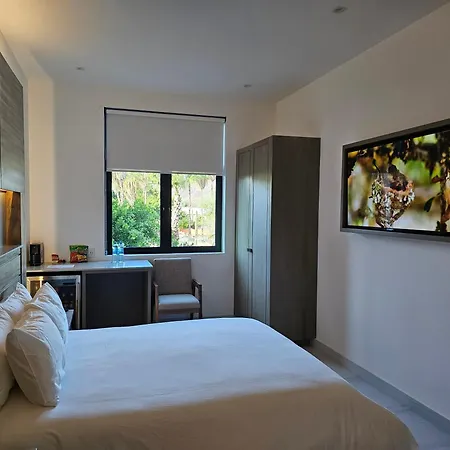 Aventuras Hotel-3