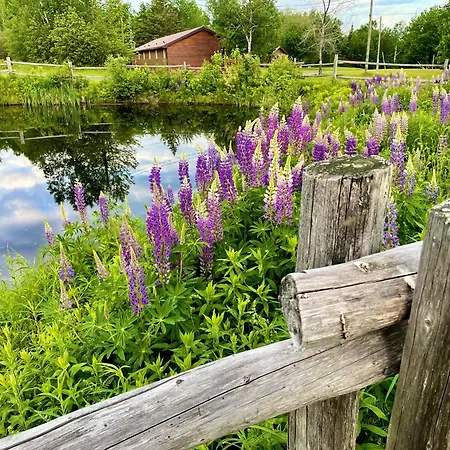 Four Nature Resort-3
