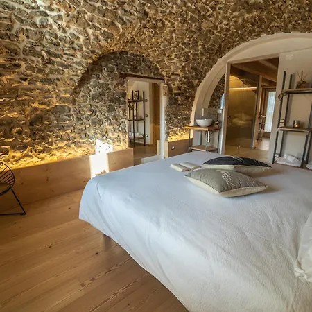 Bazzario B&B-2
