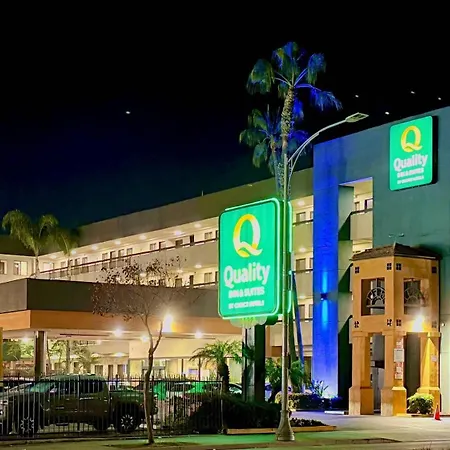 Quality Inn & Suites Los Angeles Airport - Stadium District-3