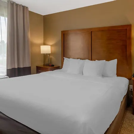 Comfort Inn & Suites Peachtree Corners - Norcross-2