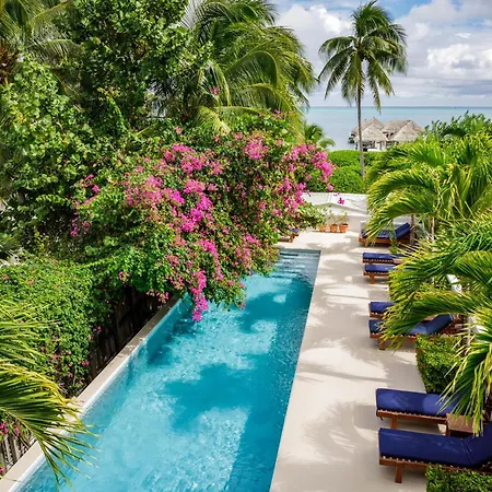Weezie'S Ocean Front Hotel And Garden Cottages-2