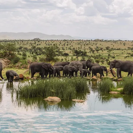 Four Seasons Safari Lodge Serengeti-2