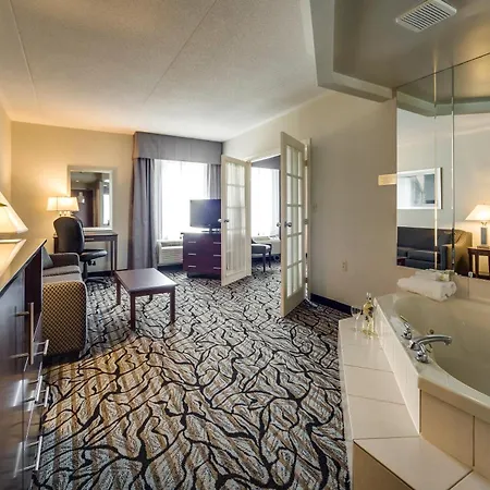 Monte Carlo Inn Oakville Suites-3