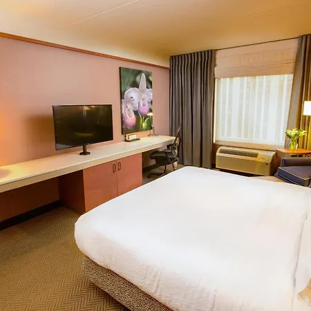 Hilton Garden Inn Rochester Downtown-2