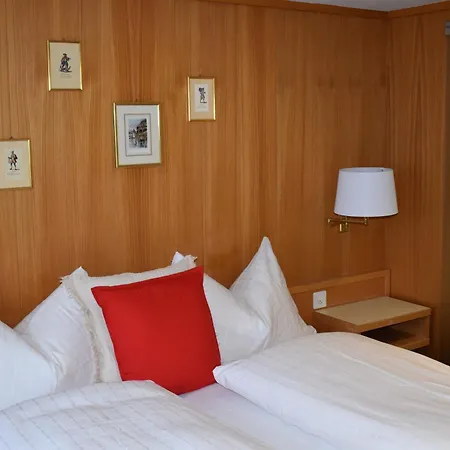 Hotel Friedheim Weggis-2