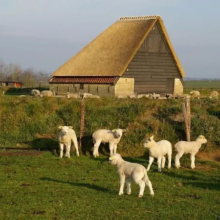 Hotel Havenzicht Texel-2