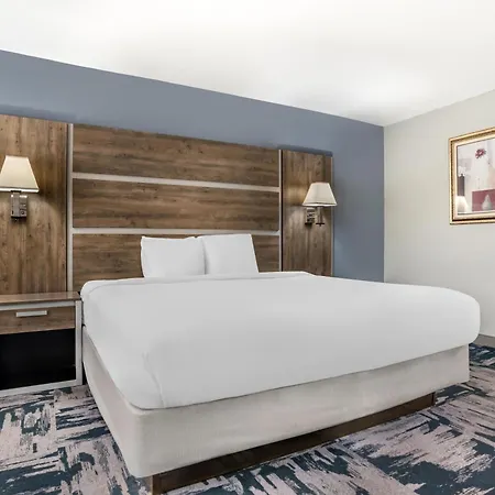 Best Western Wakulla Inn & Suites-3