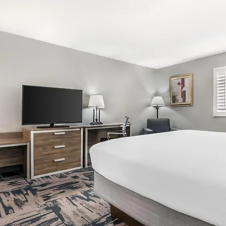 Best Western Wakulla Inn & Suites-2