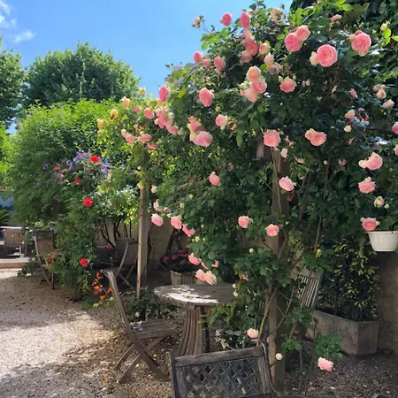 Nice Garden Hotel-2