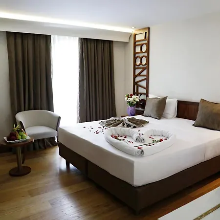 Victory Hotel & Spa Istanbul-2
