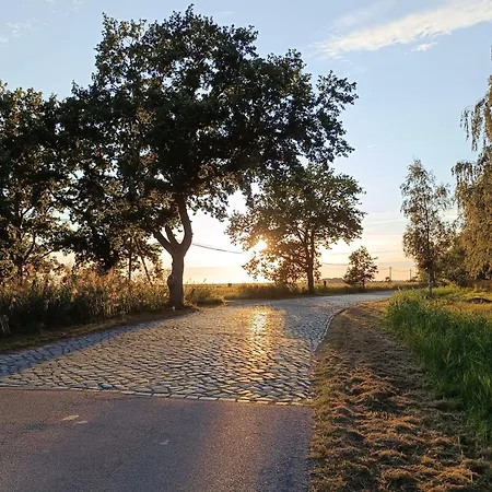 Hotel Schlösschen Sundische Wiese Zingst-2