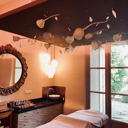 Chateau De Siran - Hotel & Spa-3