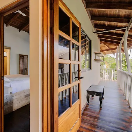 Cariblue Beach&Jungle Resort-3