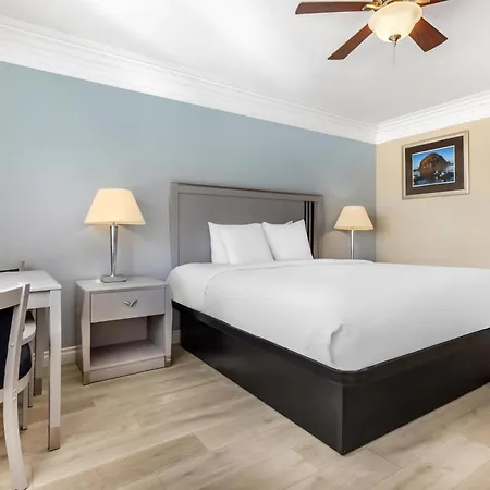 Best Western Tradewinds-3