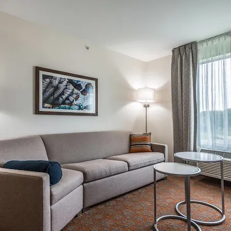 Fairfield Inn & Suites By Marriott St. Joseph Stevensville-3