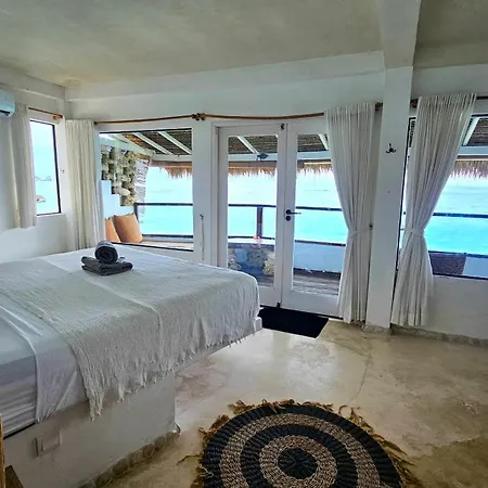 Rock'N Reef-3