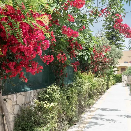 Sirios Village Hotel&Bungalows - All Inclusive-2