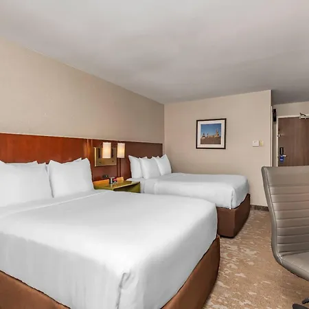 Comfort Inn Dryden-3