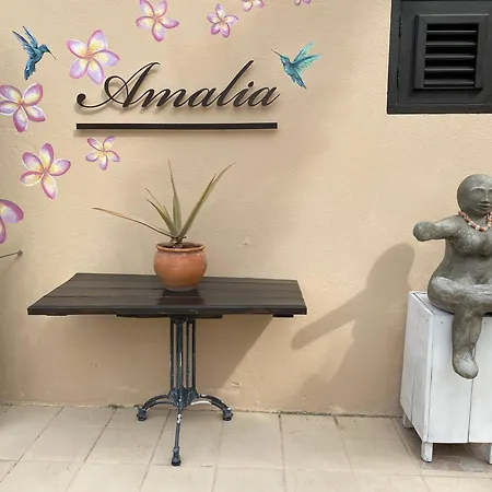 Casa Amalia - Jan Thiel Beach (Adults Only)-3