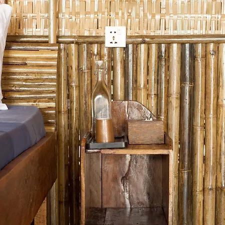 Kactus - Your Island Sanctuary-3