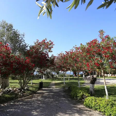 Rawda Resort Hotel Altinoluk-2