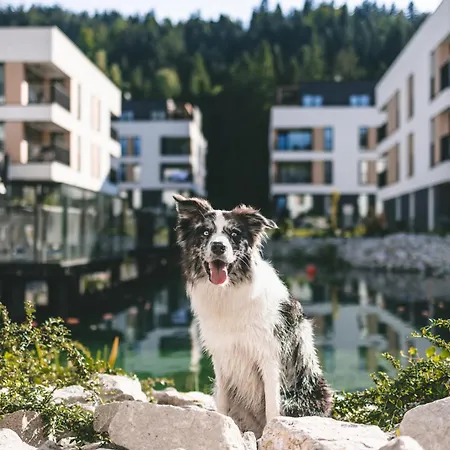 Vislow Resort-2