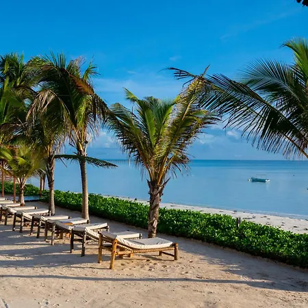 Ocean Boutique Hotel - Adults Only-3