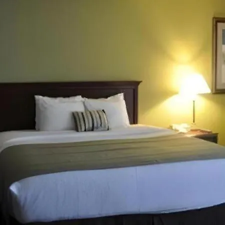 Garden Plaza Hotel-3