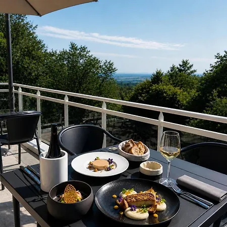Hotel Spa Restaurant Husseren Collections - Proche Colmar - Eguisheim-2