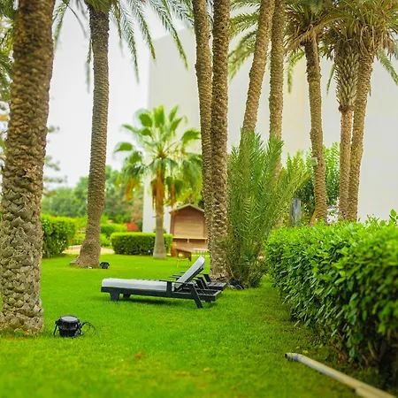 Hamilton Agadir-2