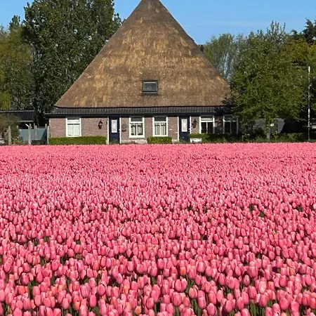 B&B Idylle Aan Zee Incl 2 Wellnessstudios-2