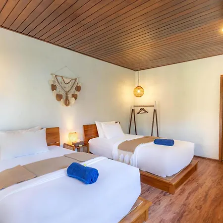 Paradise Palm Beach Bungalows And Dive Center-3