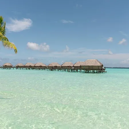 Le Taha'A By Pearl Resorts-3