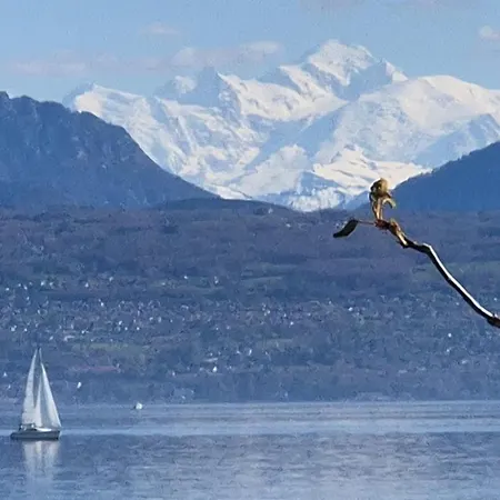 Romantik Hotel Mont Blanc Au Lac-2