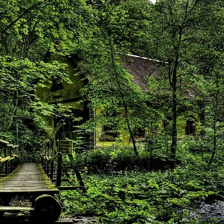 Wildkräuter-Gasthof Linde-3