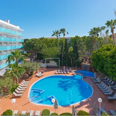 H10 Delfin - Adults Only-3