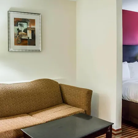 Comfort Suites Palm Bay - Melbourne-3