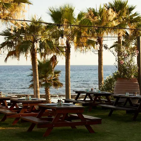 Mare Ayia Napa-2