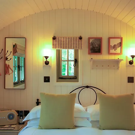 The Fish Hotel-3