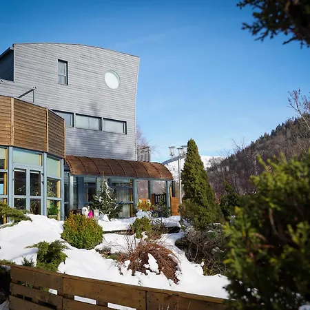 Logis Hotel Les Sapins-2