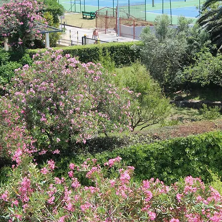 Vile Oliva Hotel & Resort-3