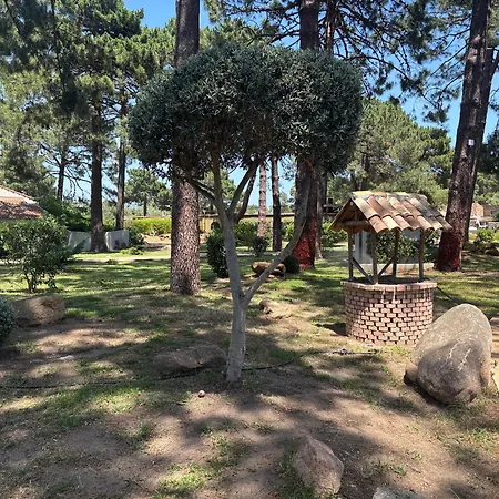 Kilina-2