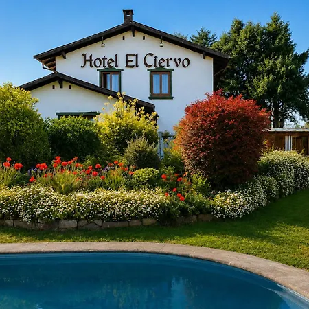 Hotel El Ciervo-2