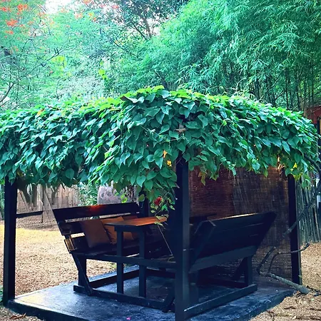 Alcove Bungalow-3