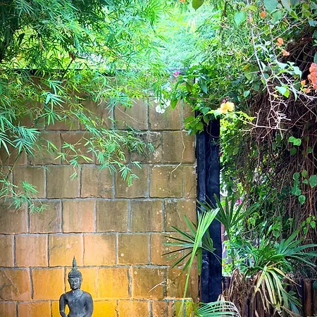 Alcove Bungalow-2