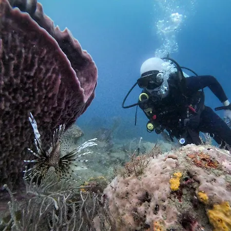 Ocean Lovers Taganga - Padi Dive Center & Hostel-3