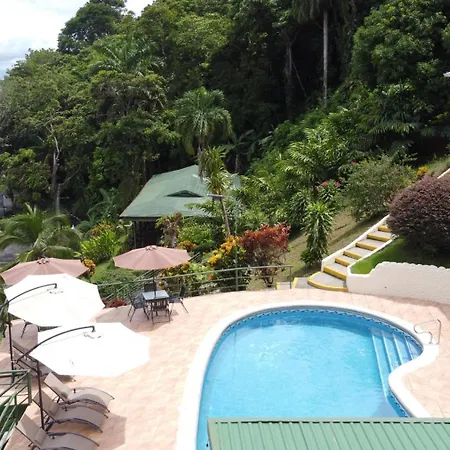 Tabulia Tree Hotel And Villas-2