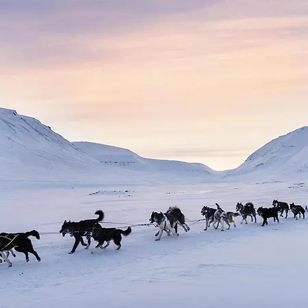Radisson Blu Polar Hotel, Spitsbergen-2