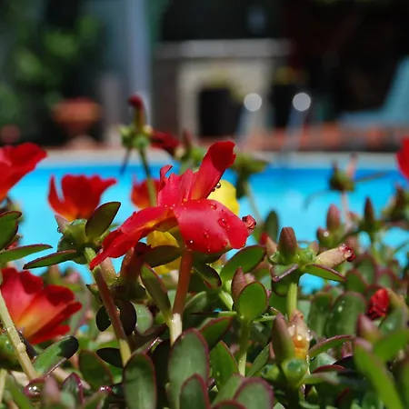 Kipos Hotel-2